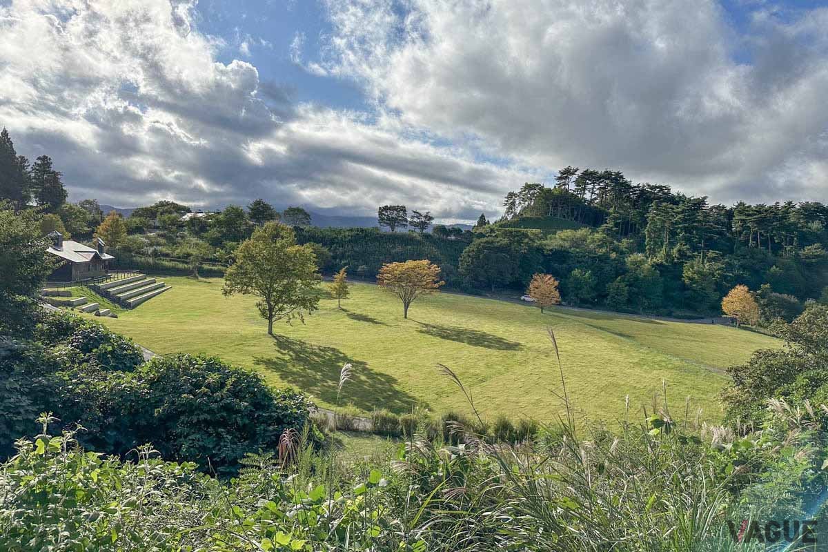 フリーサイトを山腹から眺めます