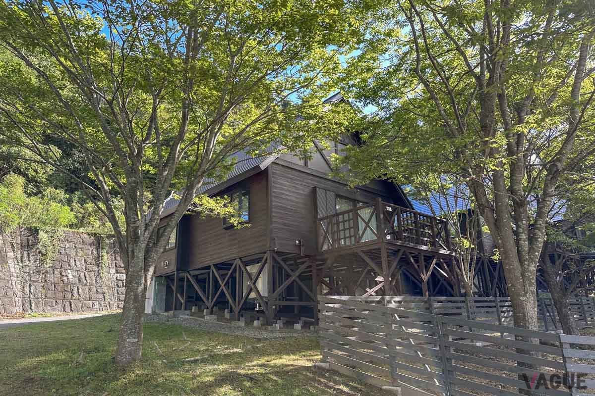 アウトドア初心者におすすめのキャビンもスタイリッシュです