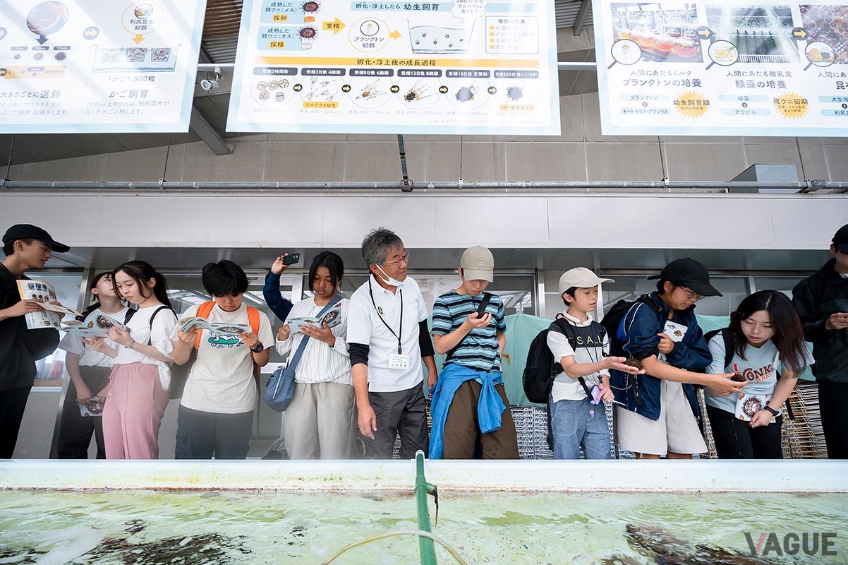 参加者たちは礼文島と利尻島を移動しながら島で働いている人と出会い、働かせてもらい、話を聞いた