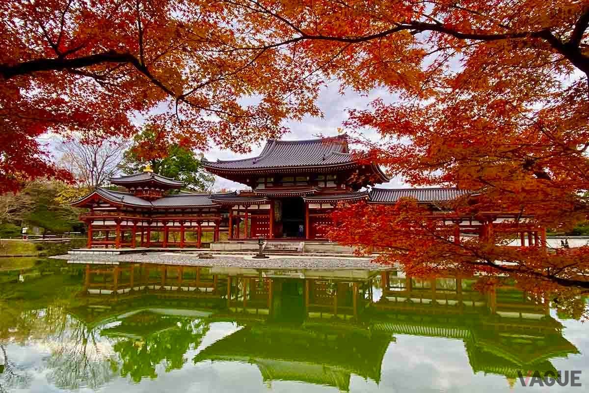 Yahoo！マップの「紅葉マップ2023」は全国各地の紅葉スポットの色づき状況がリアルタイムで表示される機能だ