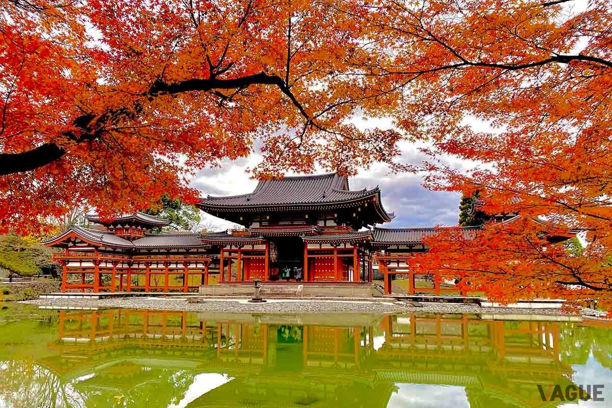 Yahoo！マップの「紅葉マップ2023」は全国各地の紅葉スポットの色づき状況がリアルタイムで表示される機能だ