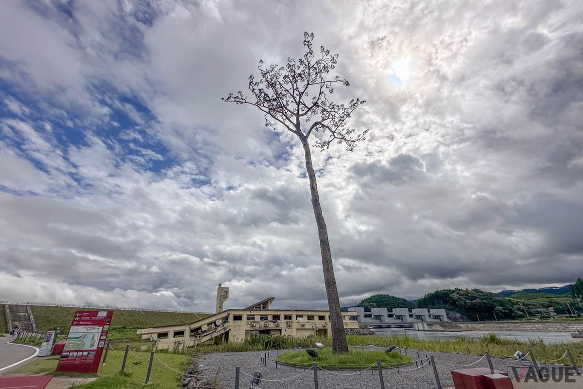 気仙川の河口に整備された「奇跡の一本松」。ここ高田松原に江戸時代から植林されてきた約7万本の松のうち、この松だけが津波を免れました