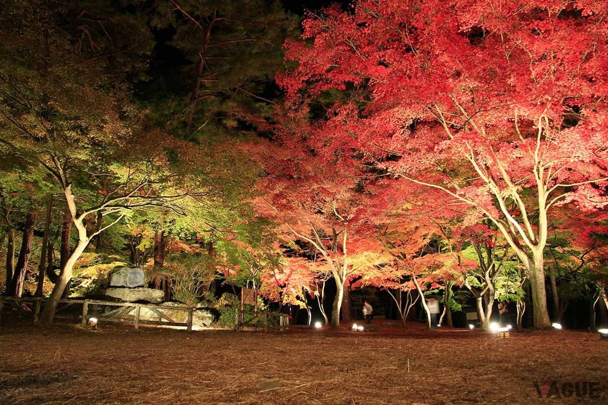 秋の“紅葉ドライブ”に最適なスポットは？ 埼玉・秩父エリアの名所と「穴場スポット」など盛りだくさん！