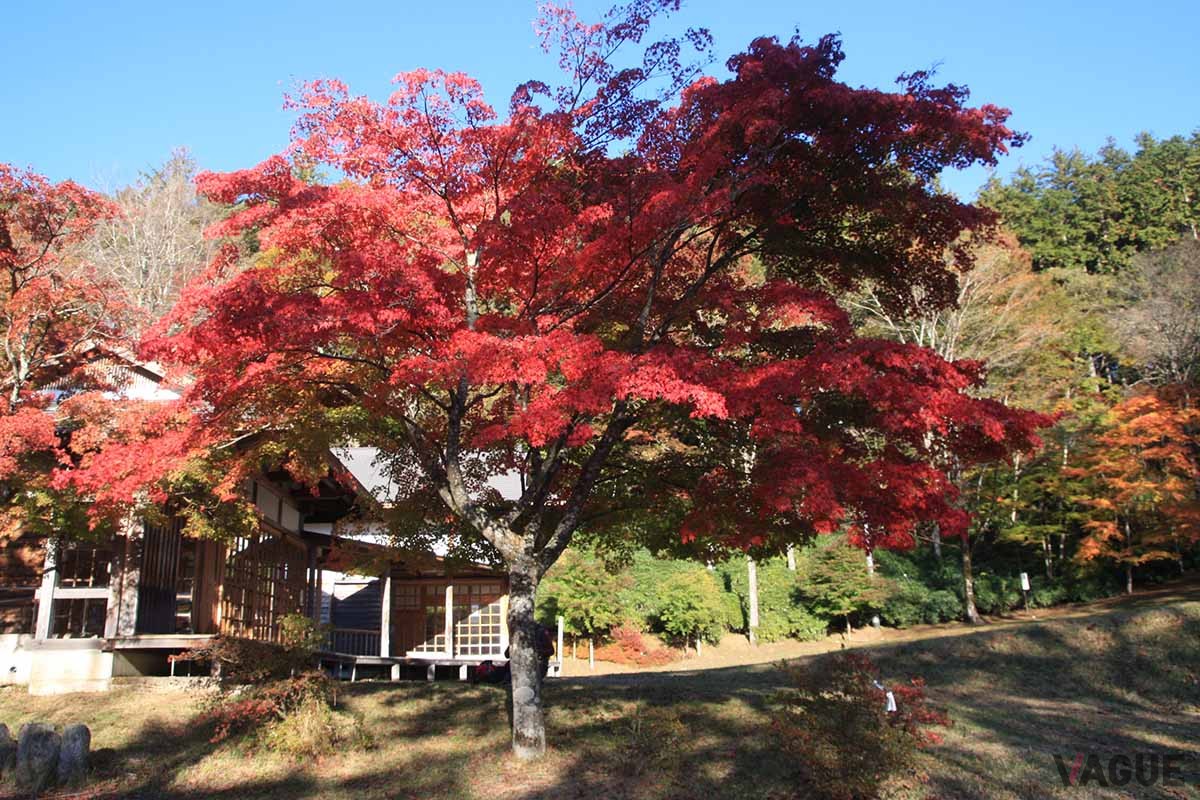 パワースポットとしても人気の「三峯神社」