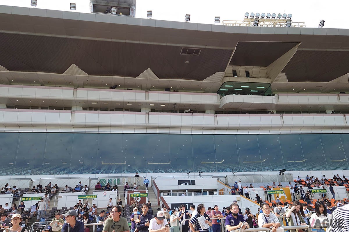 若者だけでなくカップルや家族連れまで幅広い年齢層に支持される昨今の競馬場