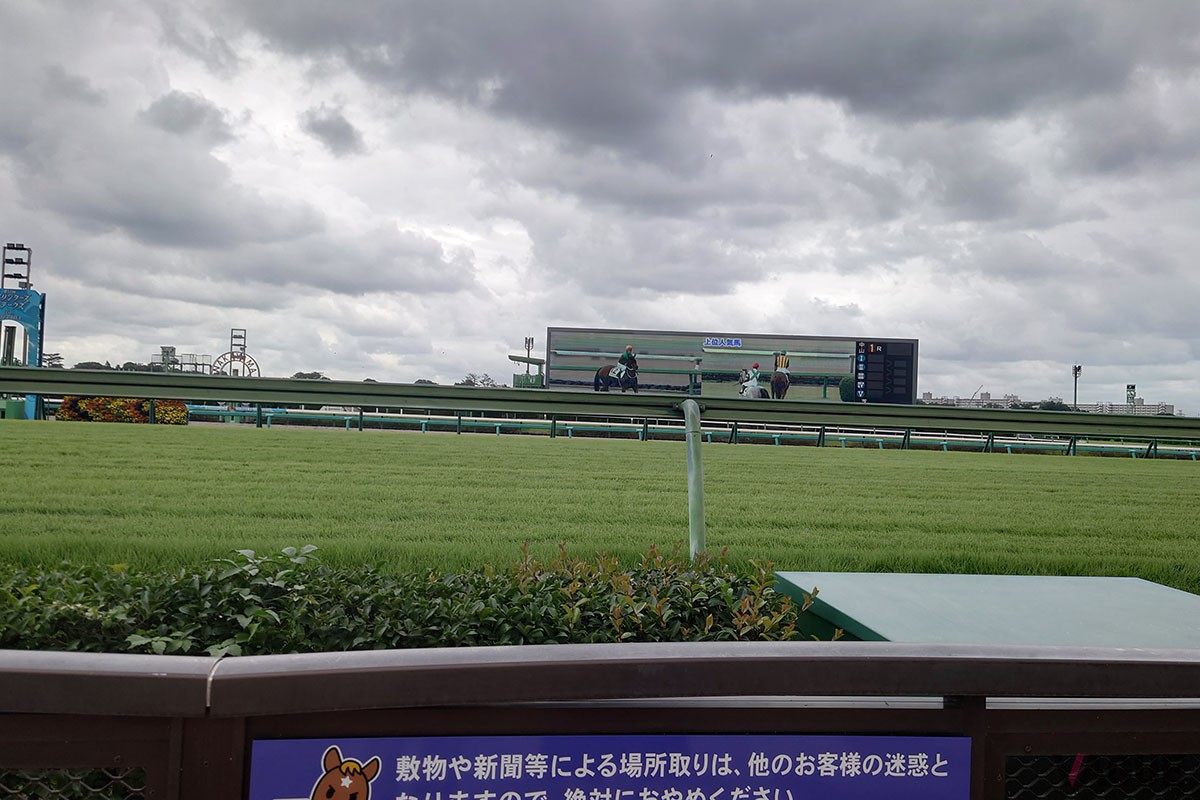 若者だけでなくカップルや家族連れまで幅広い年齢層に支持される昨今の競馬場