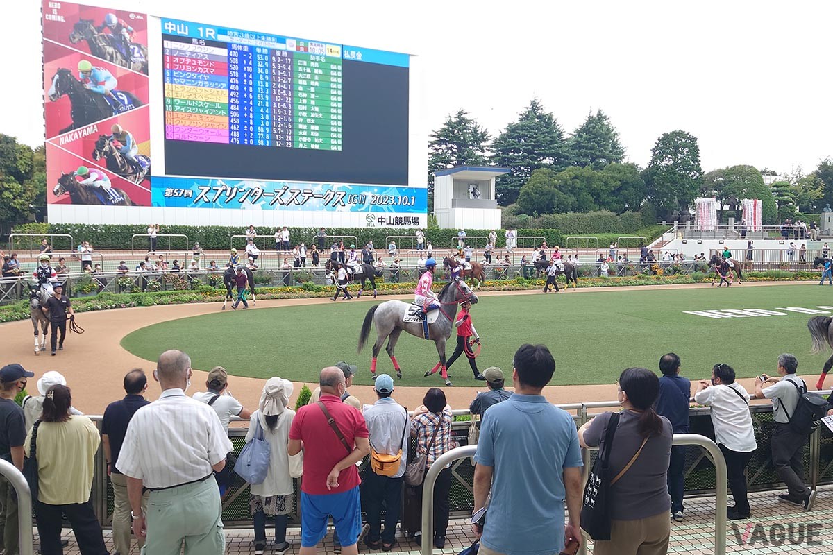 若者だけでなくカップルや家族連れまで幅広い年齢層に支持される昨今の競馬場