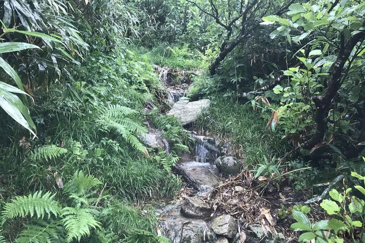 雨の日のアウトドアにもっていこいなハイスペック