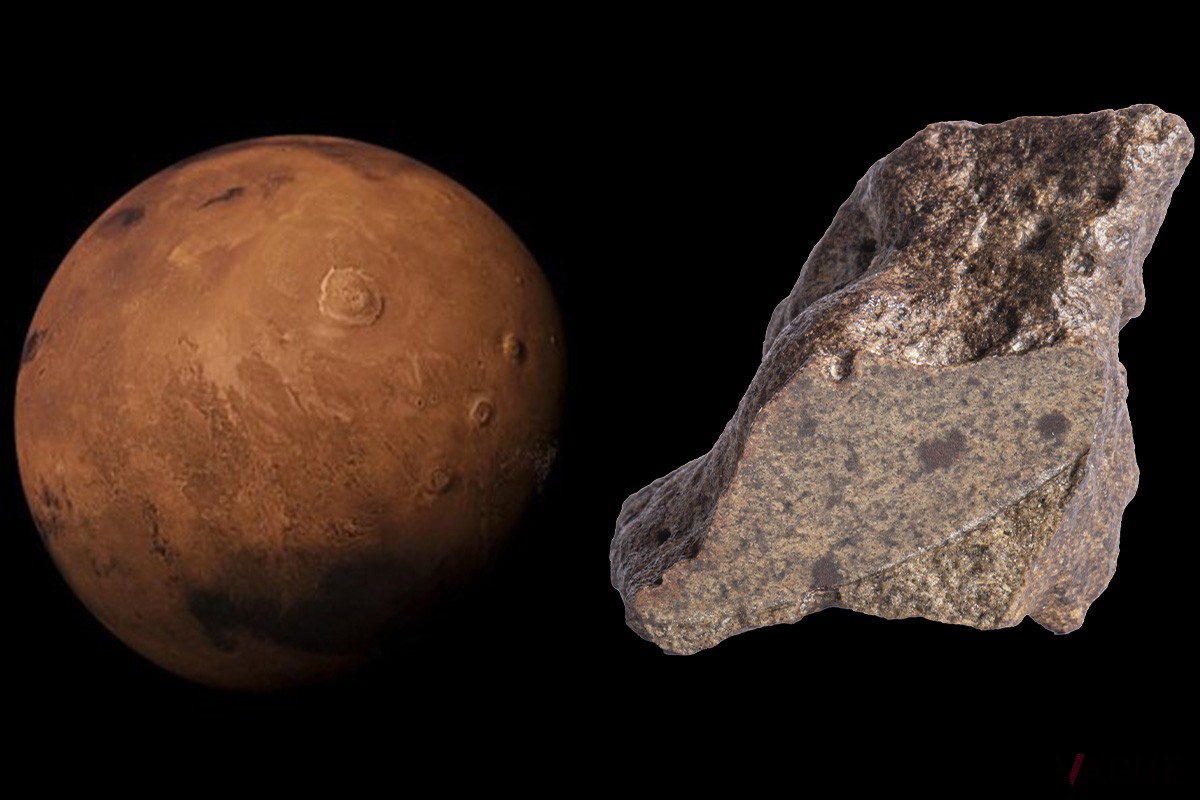 「マーズ ミッション」に採用される火星からの隕石