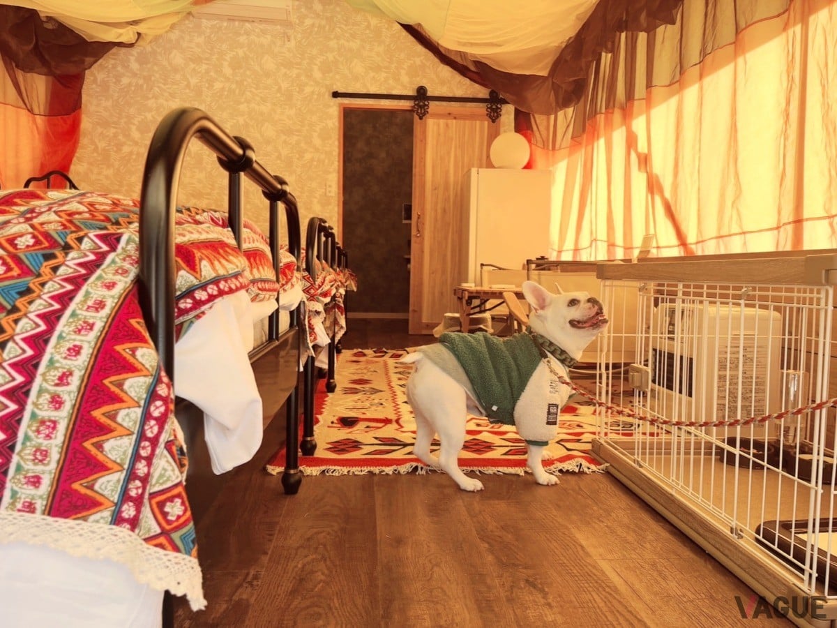 ウッドデザインパーク瀬戸にできた、6棟中1棟の愛犬同伴可能なドッググランピングテント