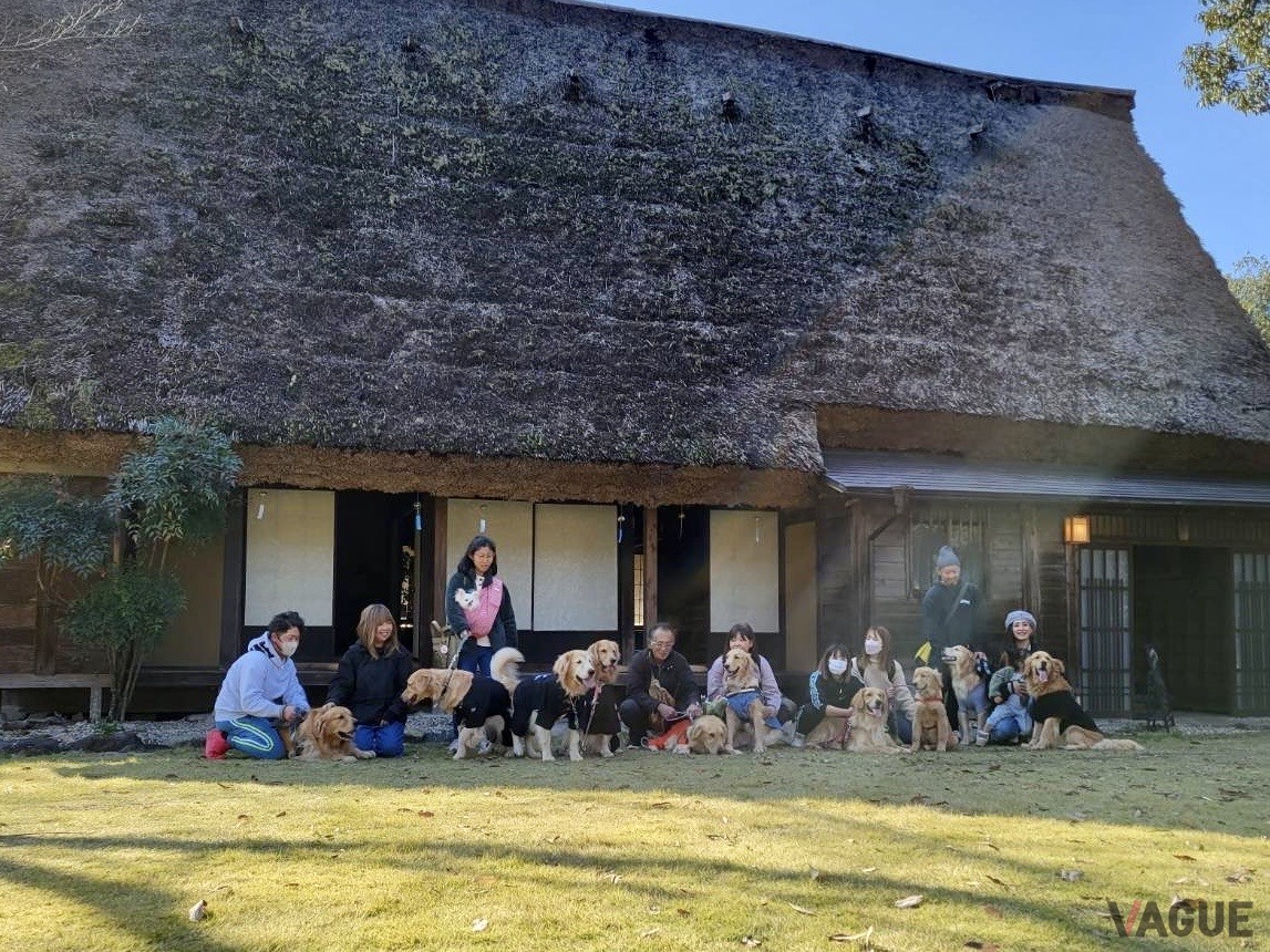 愛犬の誕生日や記念日にもピッタリ
