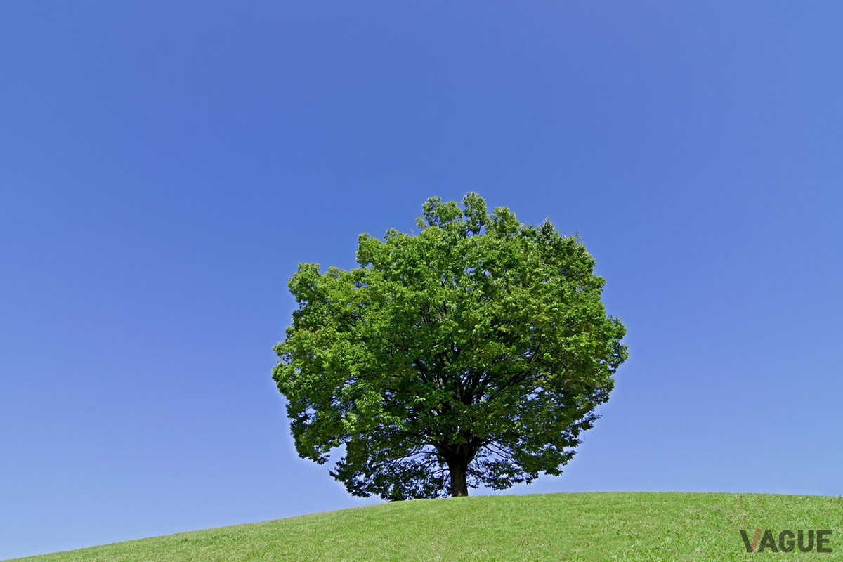 箱根の雄大な景観も見どころ