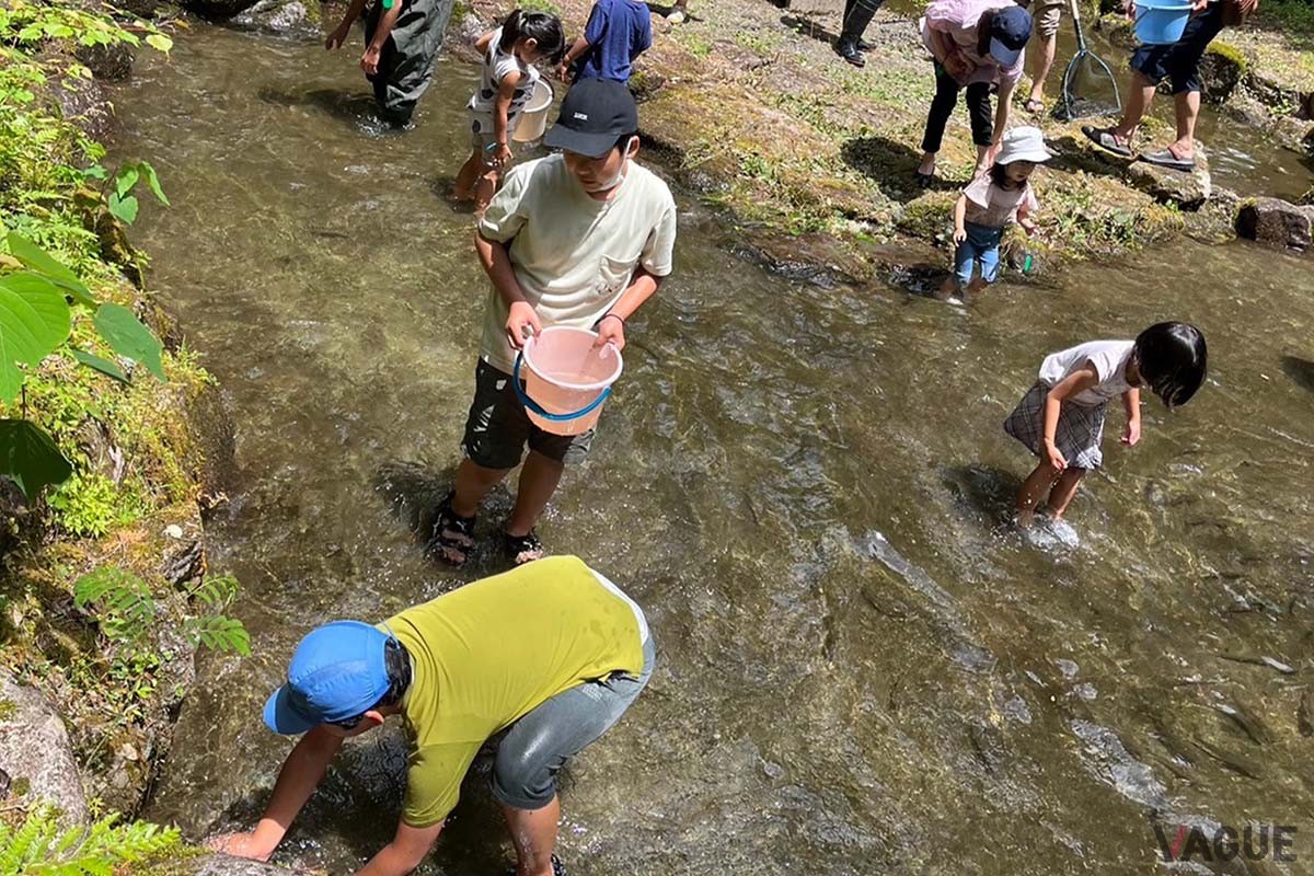 川魚と触れ合い自然の中でのびのび遊べる