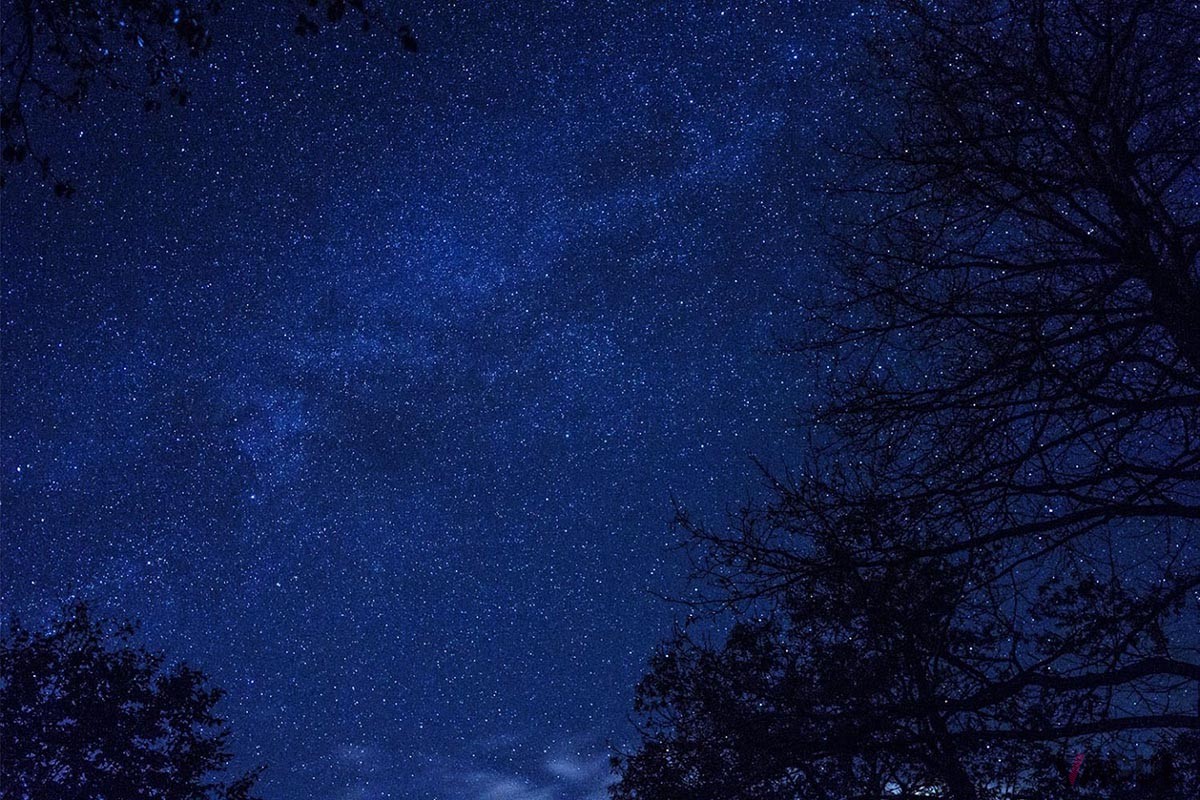 あふれる星々に照らされながら、心和む空間へ
