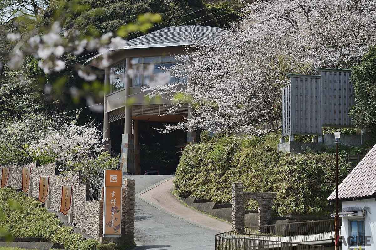 3月にはアプローチにソメイヨシノが咲き誇ります
