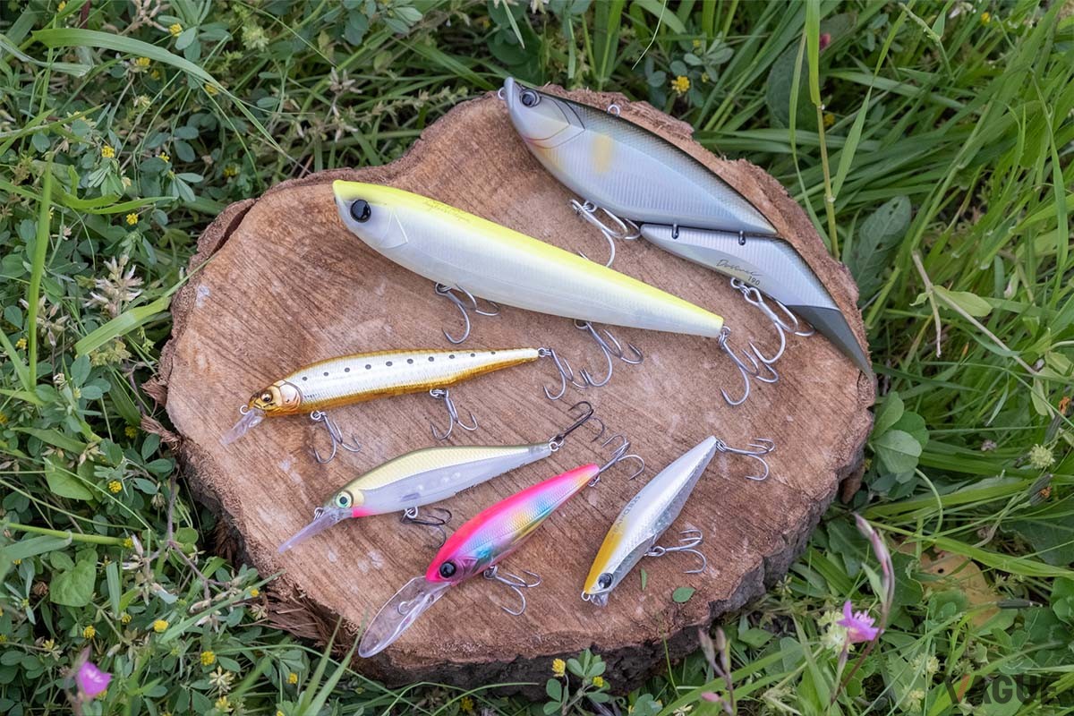 一本で多彩なルアーを操れます。写真下から時計回りに「アピアMAYOL80S（15g」、「Rapala シャドウラップシャッドディープ（12g）」、「メガバスX-80 MAGNUM（18g）」、「アピアARGO160（48g）」、「エレメンツDavinci 190（56g）」、「POP SEA CREW BANQ 82S（14g）」