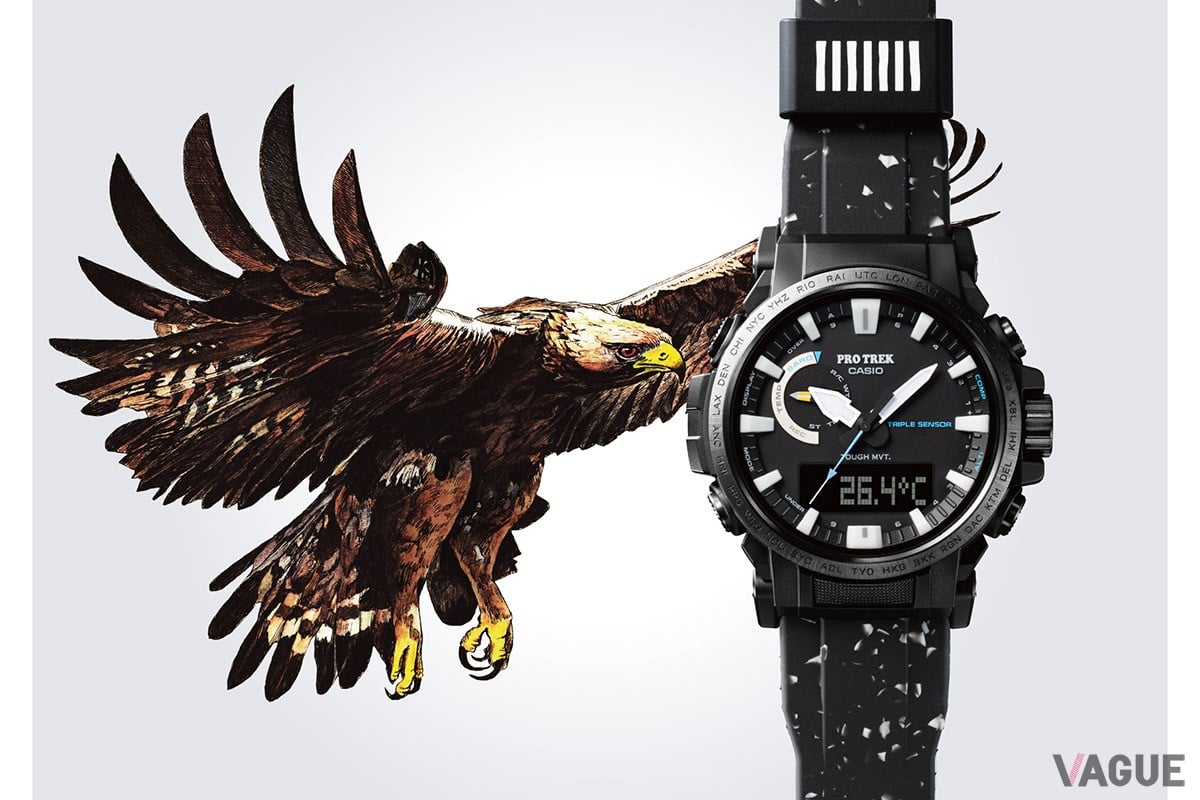 CASIO プロトレック　チームダイワウォッチ 本格アウトドアギア【カシオ プロトレック】初となる角型メタル