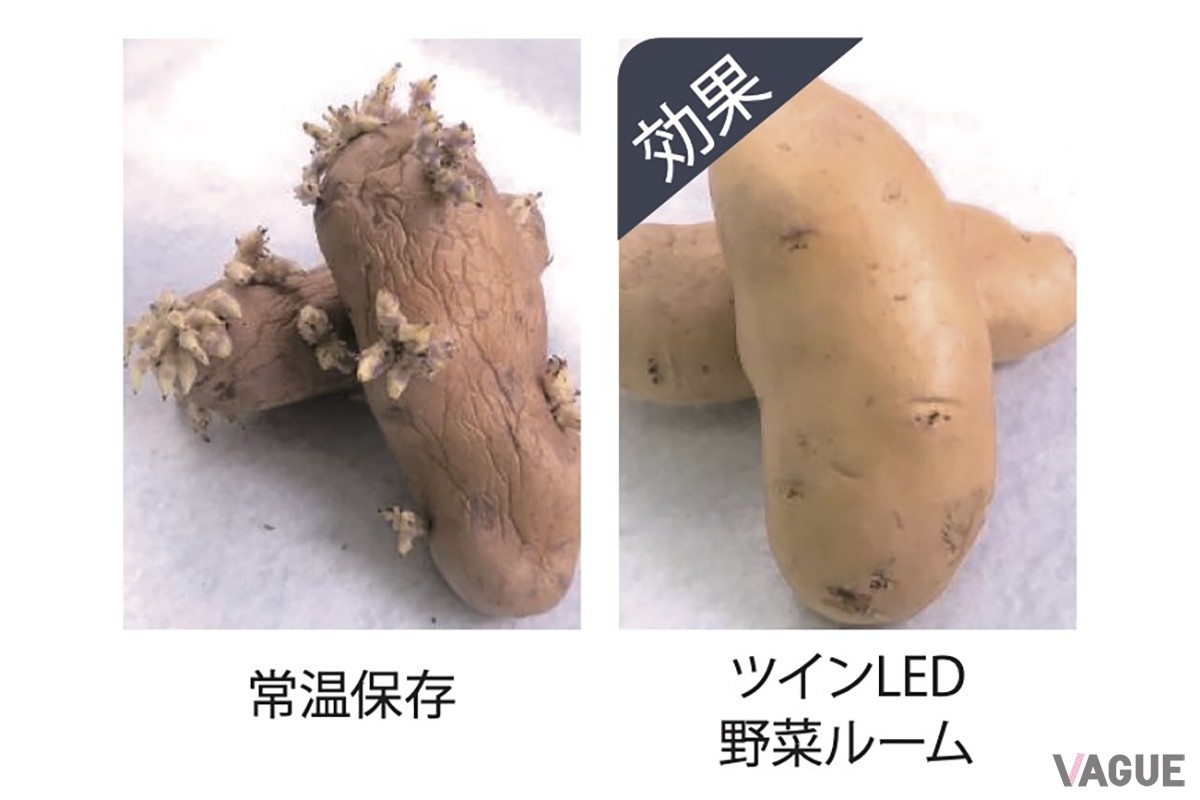 専用LEDライトが光合成やエチレンガスの発生を抑えて鮮度を保持。果物はみずみずしさをそのままキープ、じゃがいもの発芽なども抑えられる