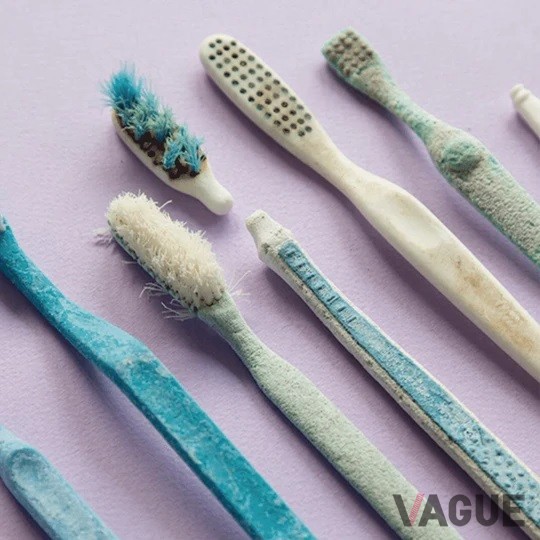 環境を汚染するプラスチック製品を見たくない