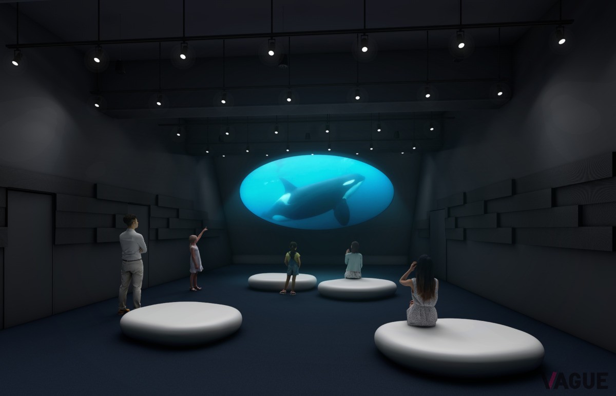 オルカホール