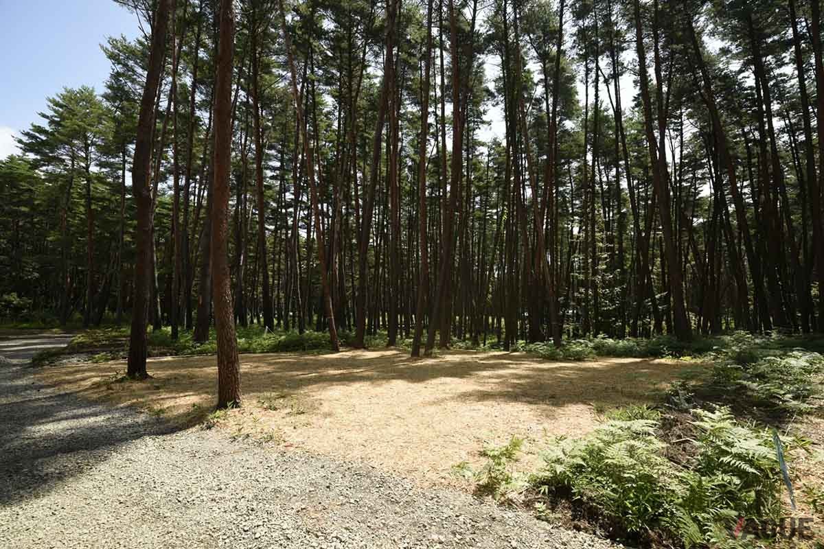 FOLKWOOD VILLAGE 八ヶ岳