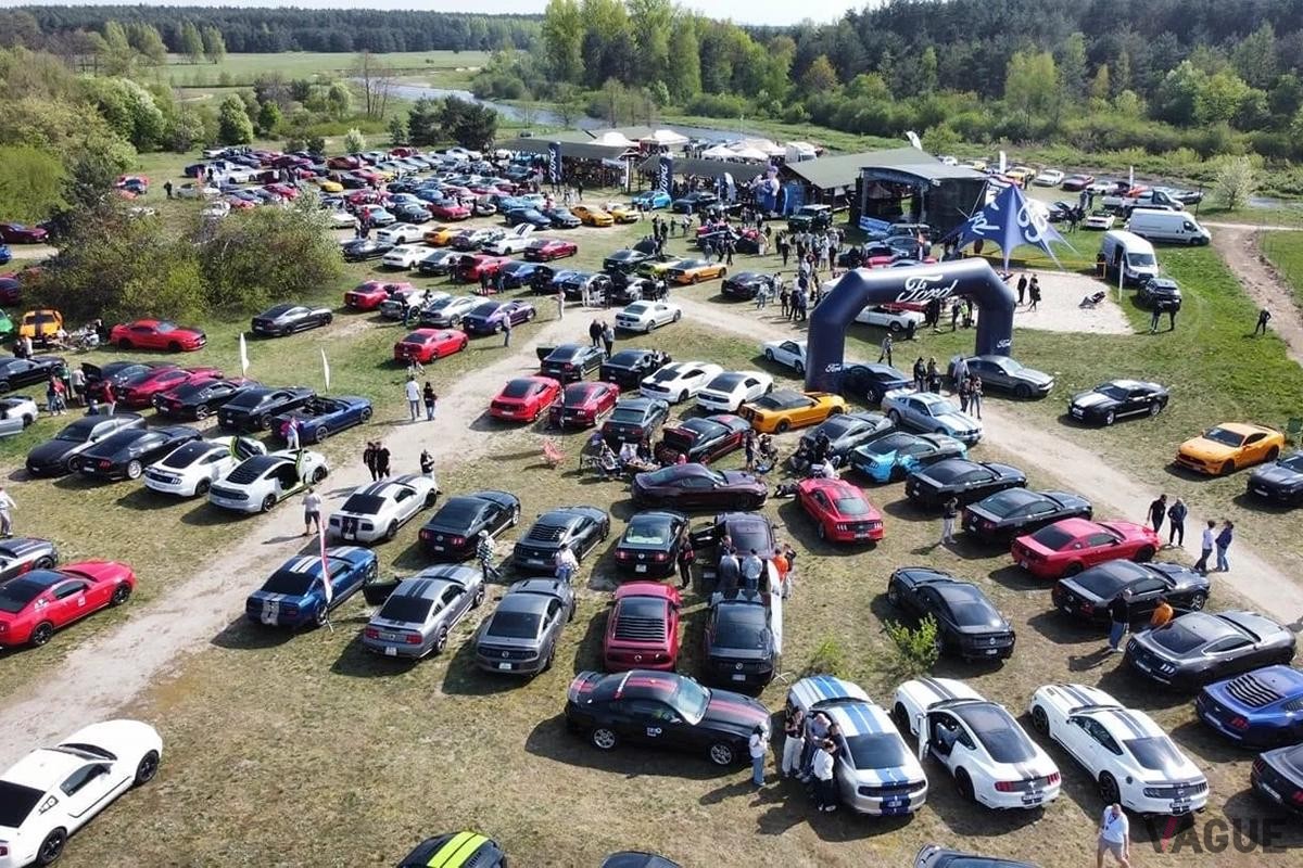 ポーランドで開催されたマスタングの祝賀会には、500台以上のマスタング車と1,000人以上の人々が出席した。