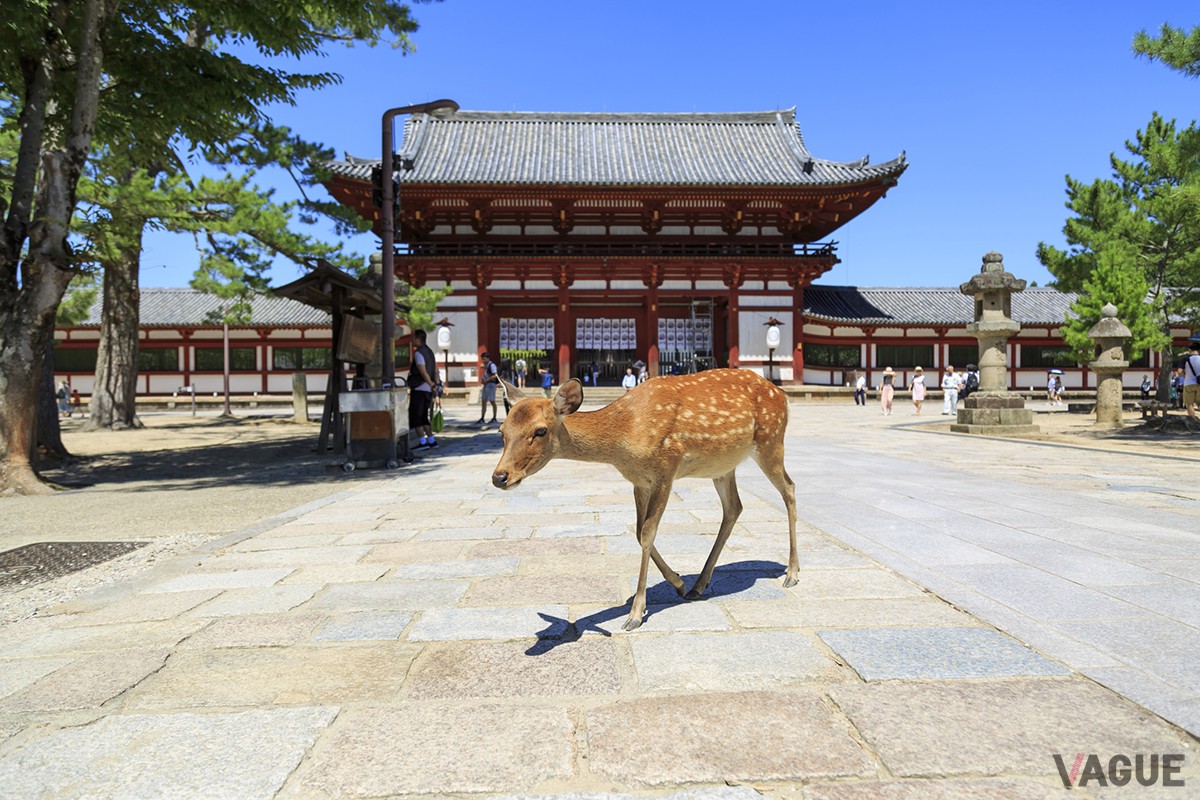 3位奈良県