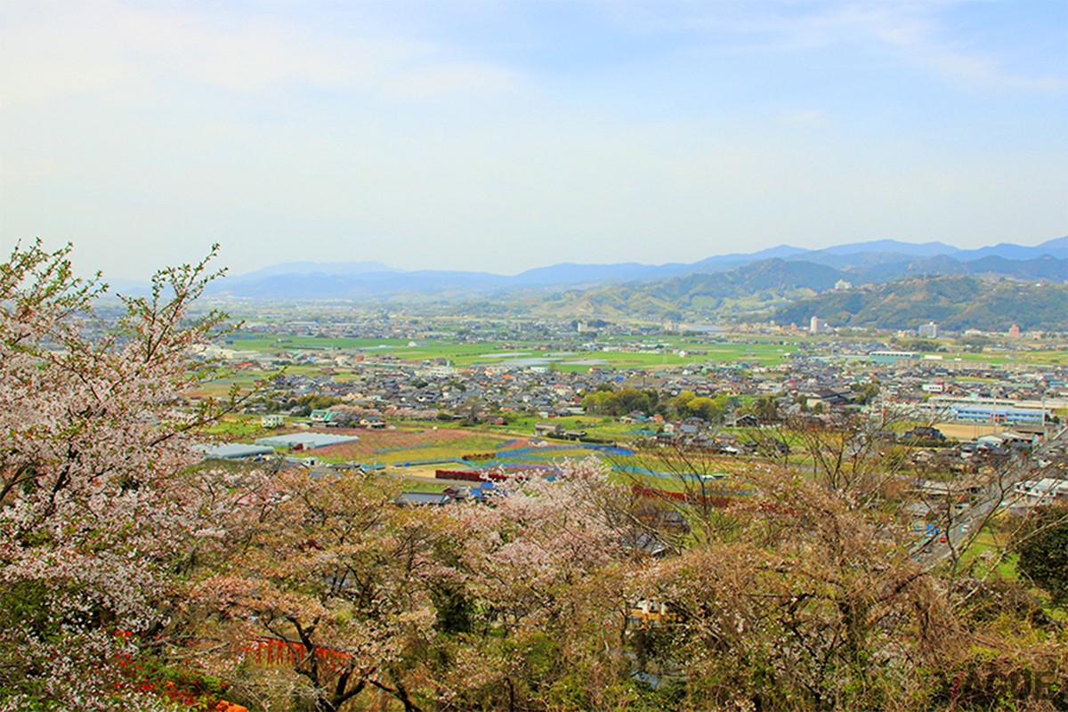 うきは市を一望