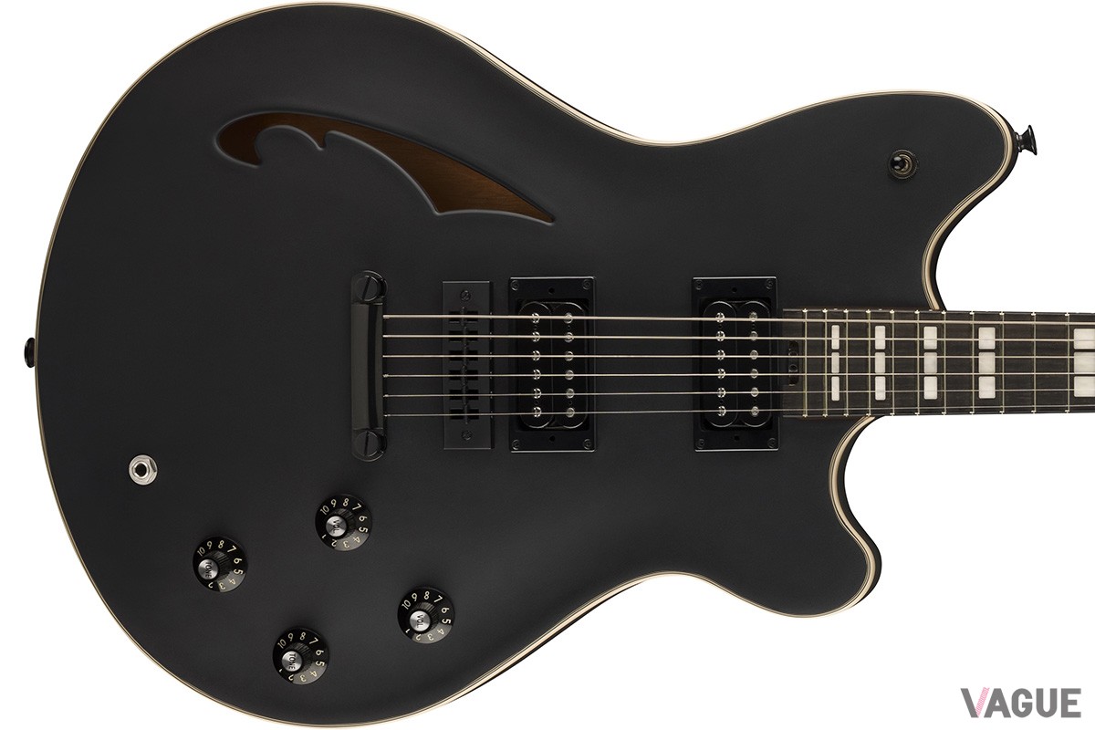 暗いステージでは闇に溶け込むような魅力を持つ“Stealth Black”の「SA-126 Special」。