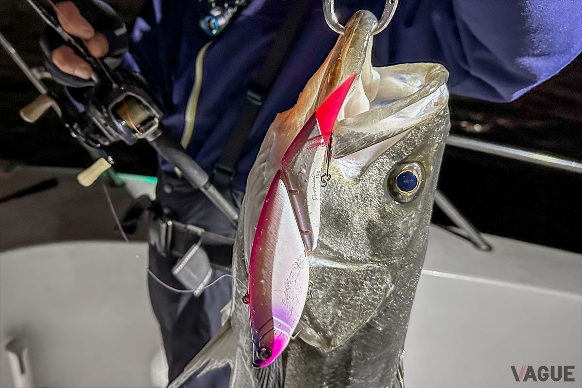 キャプテンは「ELEMENTSダビンチ190」（6380円、消費税別）でさらに大型のシーバスをキャッチ。シビれるテクの差をさり気なく見せつけます