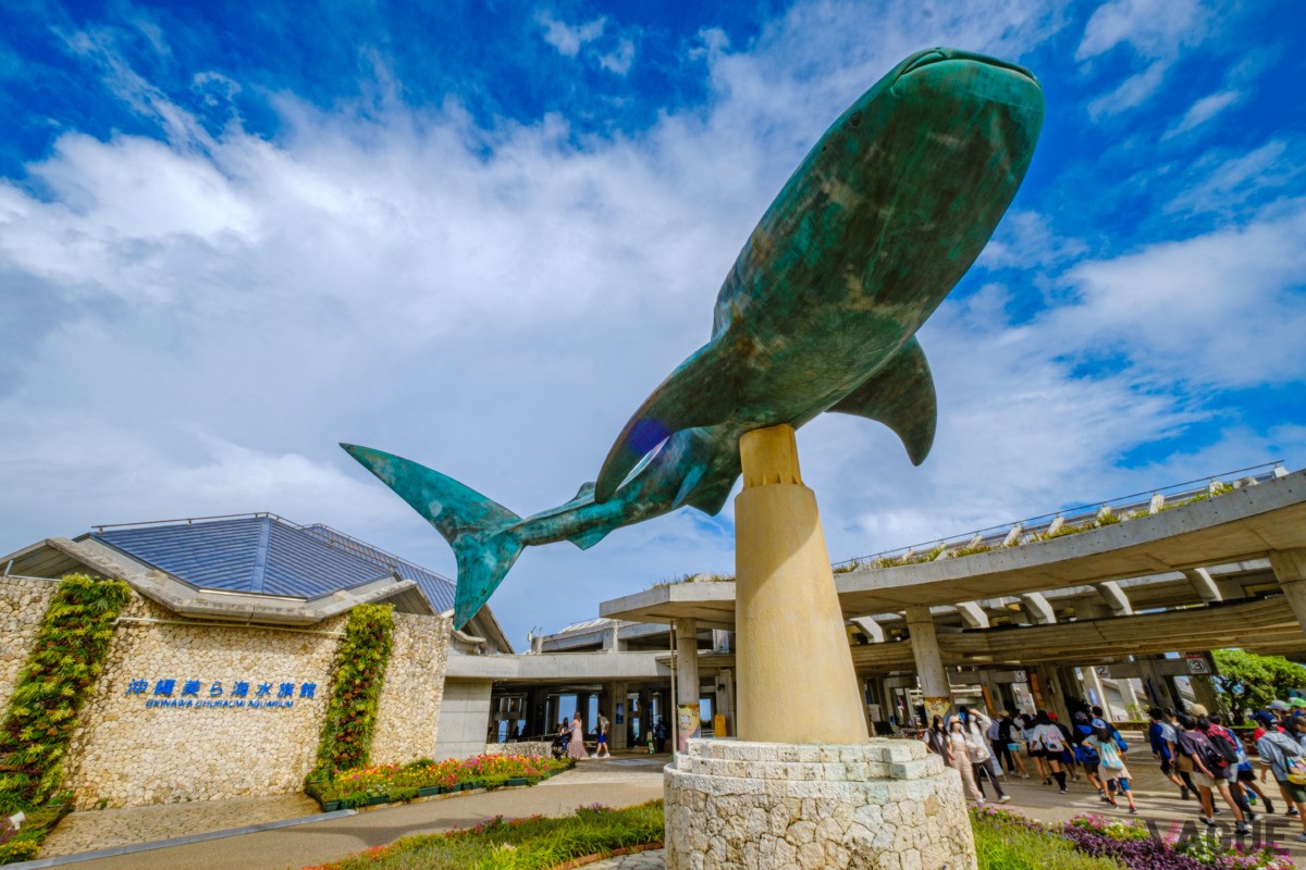 美ら海水族館