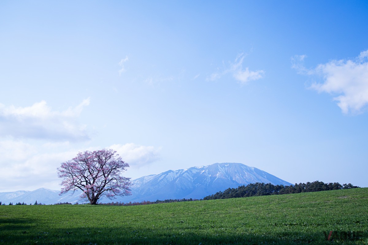 岩手県「雫石」