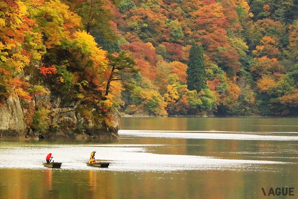 川霧のなかを渡し船で!? 幻想的な「廃村ツアー」が人気？ 絶景の