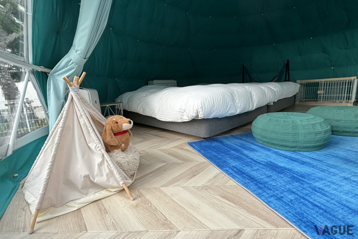 部屋にはわんちゃんベッドを設置