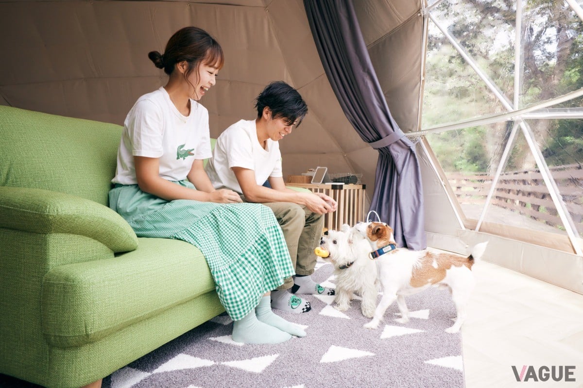 愛犬と家族が楽しい時間を過ごせるように