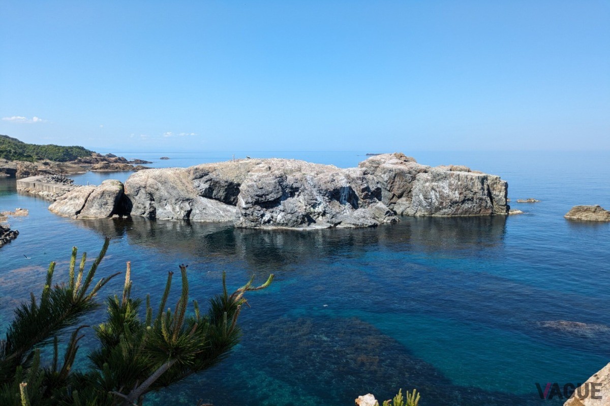 ウミネコの繁殖地「経島」