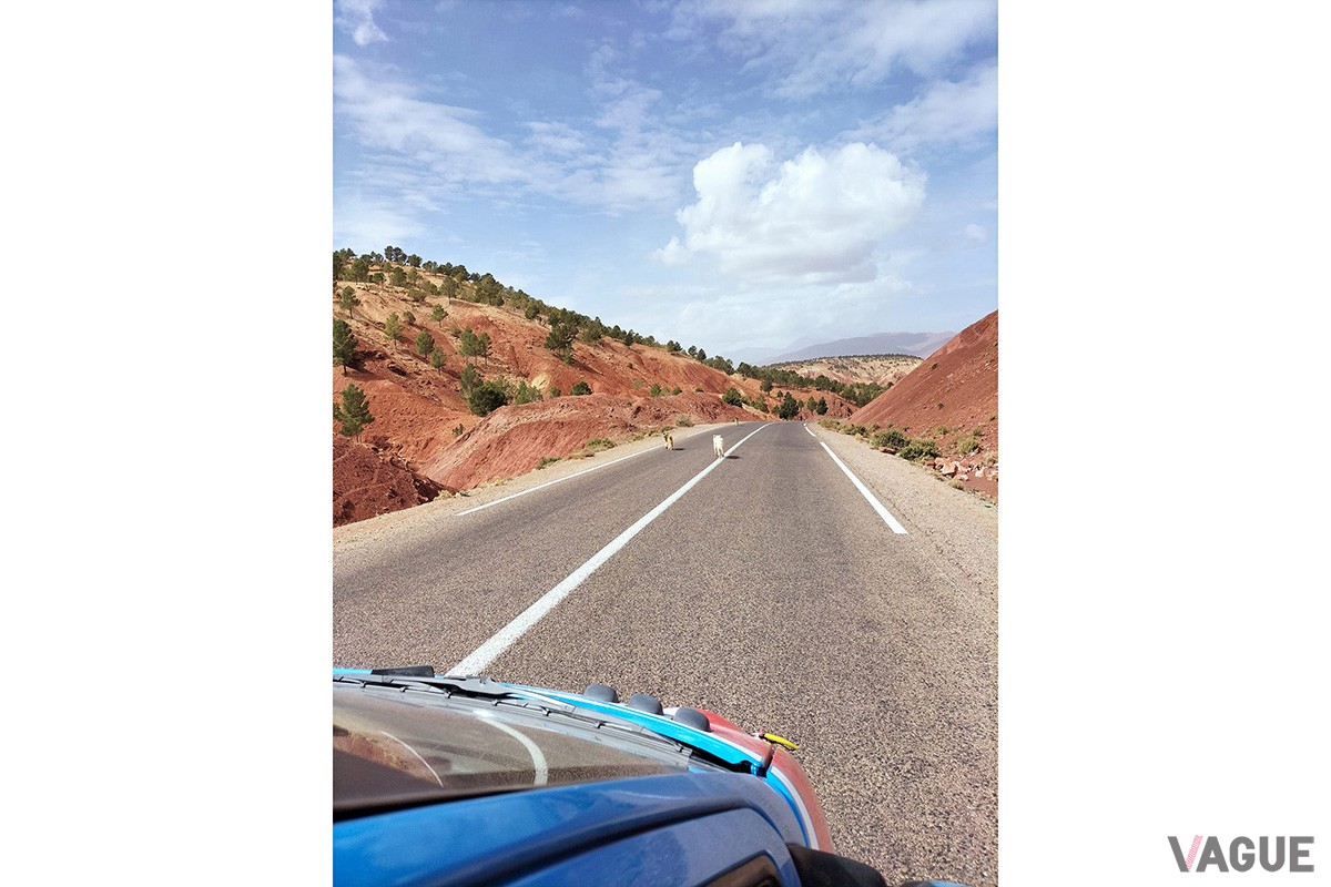 スペインのサン・セバスティアンからモロッコのマラケシュまでの2500マイルを走破する「トゥインゴ・レイド」（C）BLUE RALLY