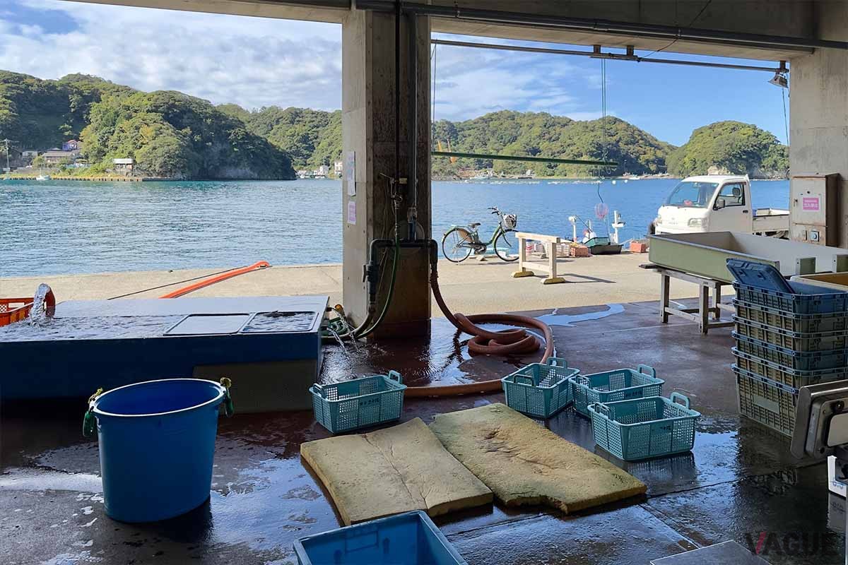 漁港は基本的にそこで働く漁師さんや市場関係者のための施設であることを忘れないようにしたいものです