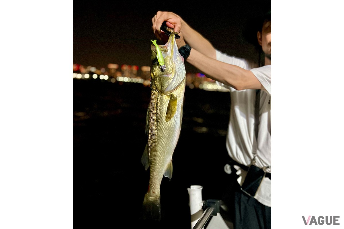 揺れる夜のボートシーバスゲームでも、簡単にカラーチェンジすることで時合いを逃さずキャッチできた会心の一匹