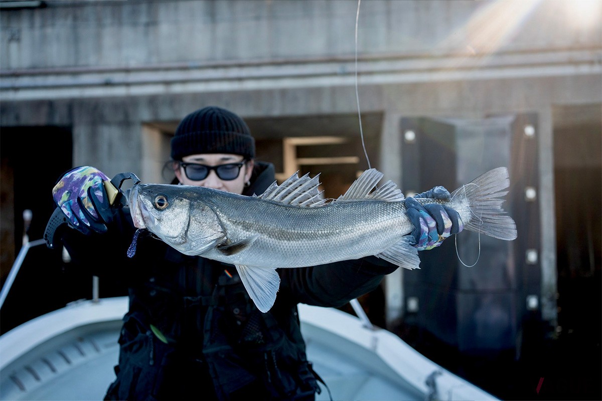 ノイドはやくもアーバンシーバスフィッシングには欠かせない存在になりつつあります