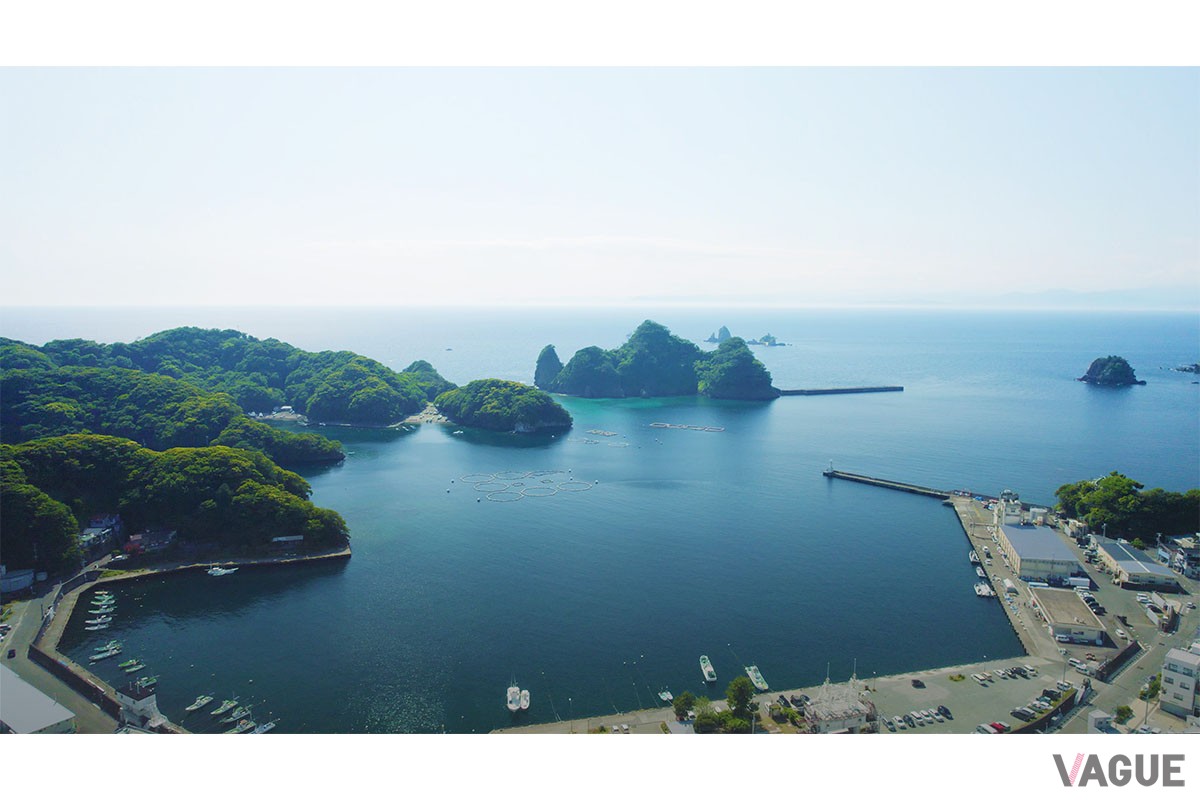 この風景のなか竿を出せるだけでストレスがすっ飛んでいきます