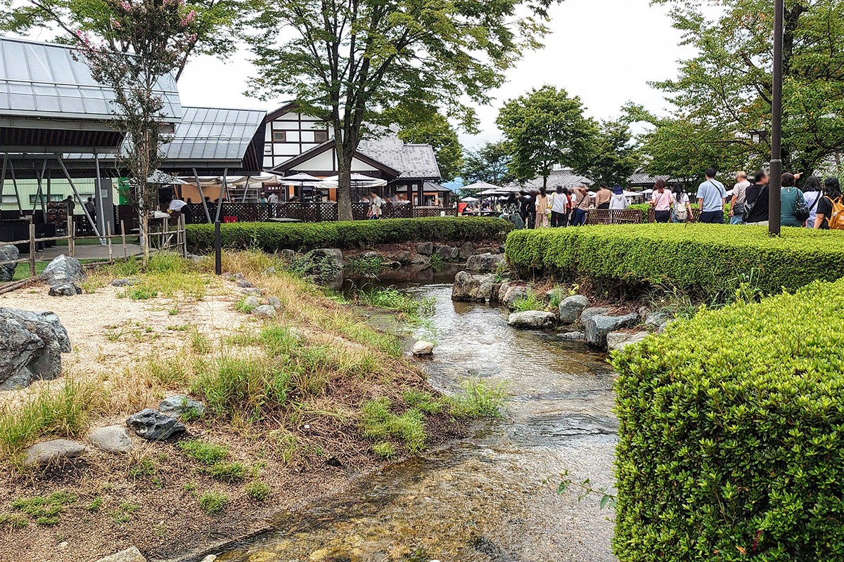 付帯施設の充実や地域の魅力発信に磨きがかかるスポットも続々登場している道の駅