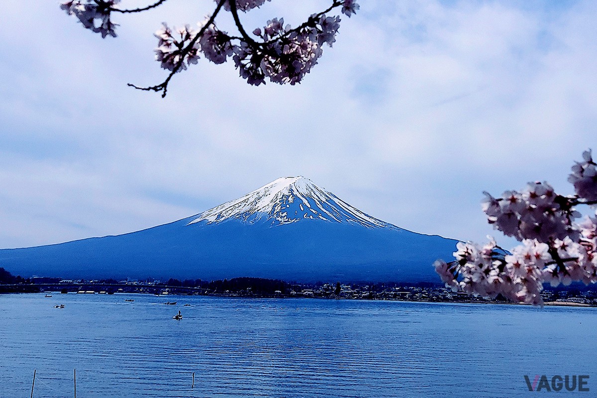 河口湖から望む富士山