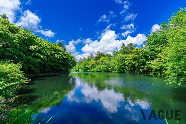 見事1位に輝いた長野県「軽井沢」