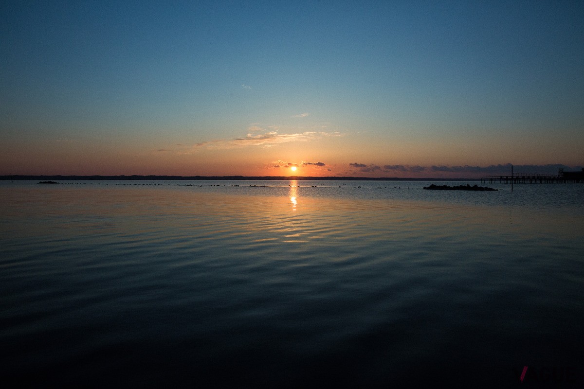 霞ヶ浦に登る朝日