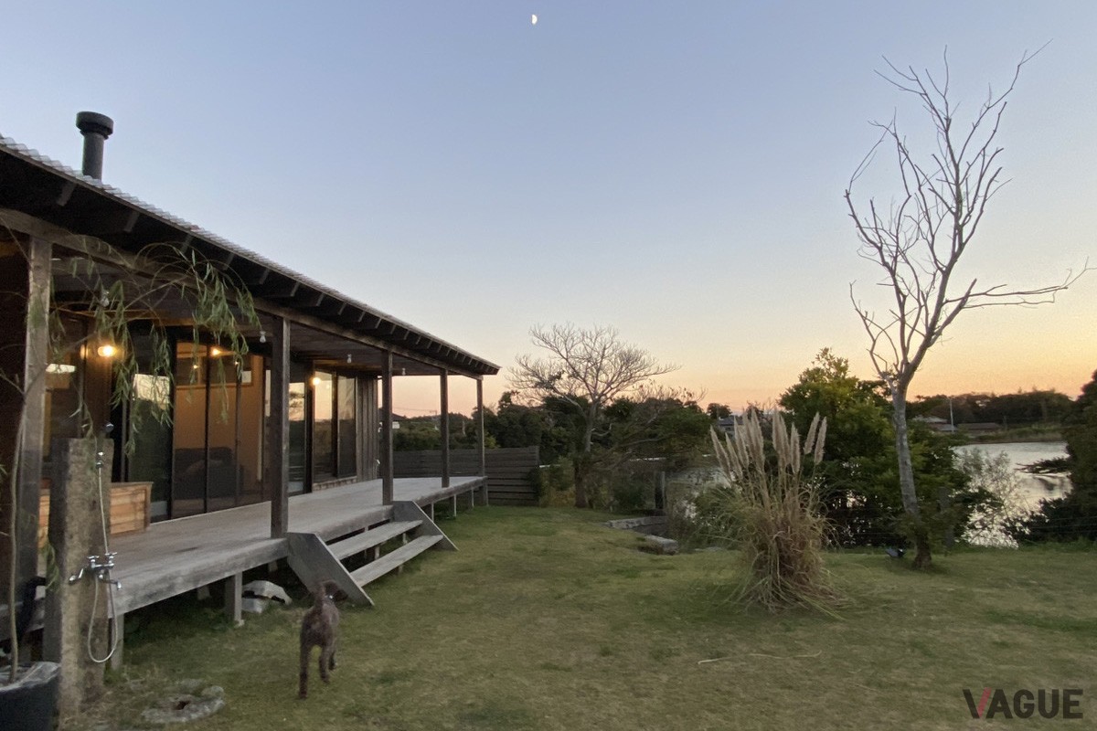 夕暮れに包まれながら愛犬と過ごすひととき