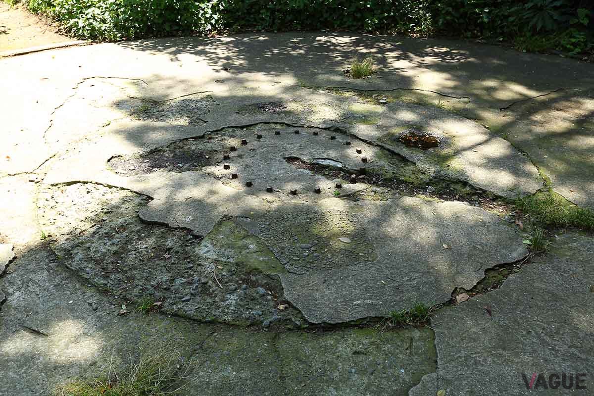 緑を楽しみながら散策も