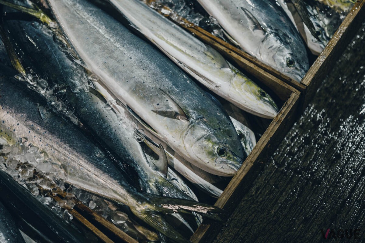 季節によって様々な魚介類が水揚げされる