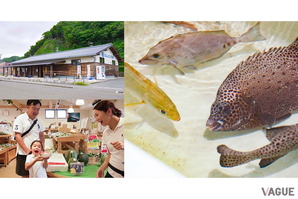 直売所「はんばた市場」では、地元のとれたて野菜や生け簀で泳ぐ地魚をその場でさばいてもらうこともできます