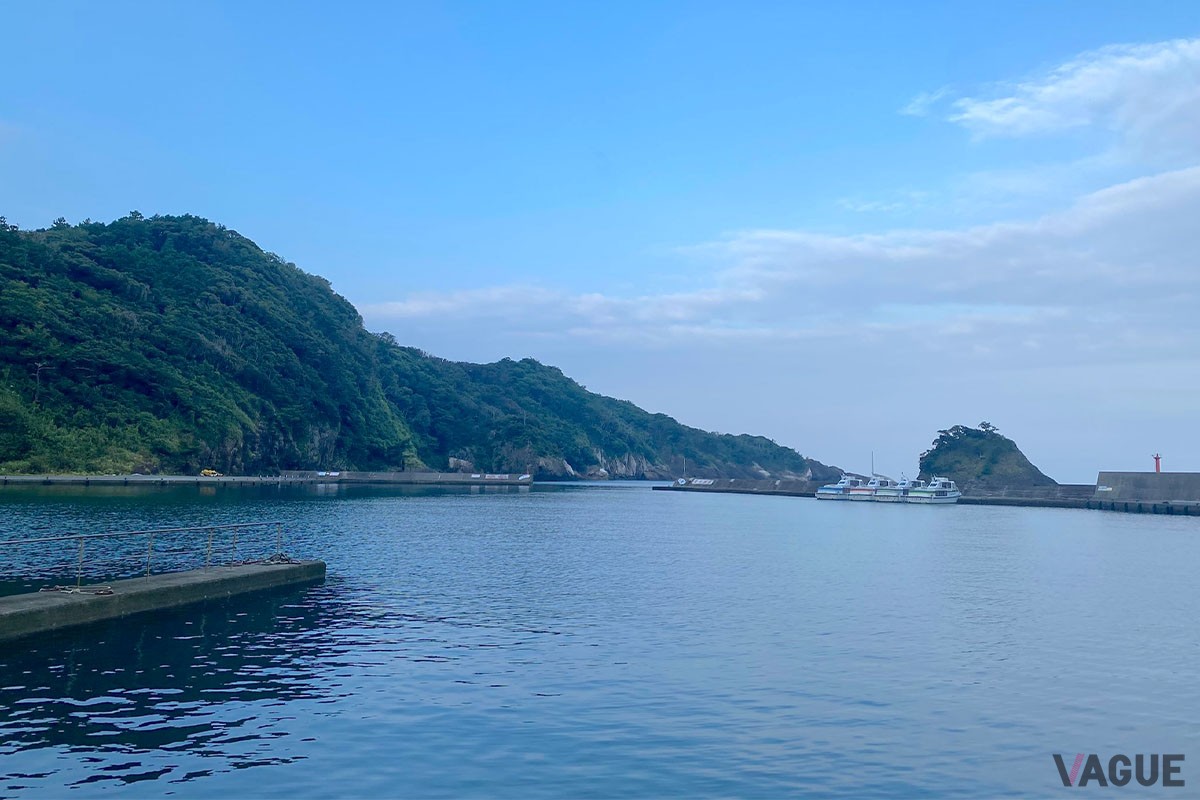 漁港内は比較的波もおだやかで家族での釣りデビューにもぴったり